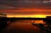 DSC02607